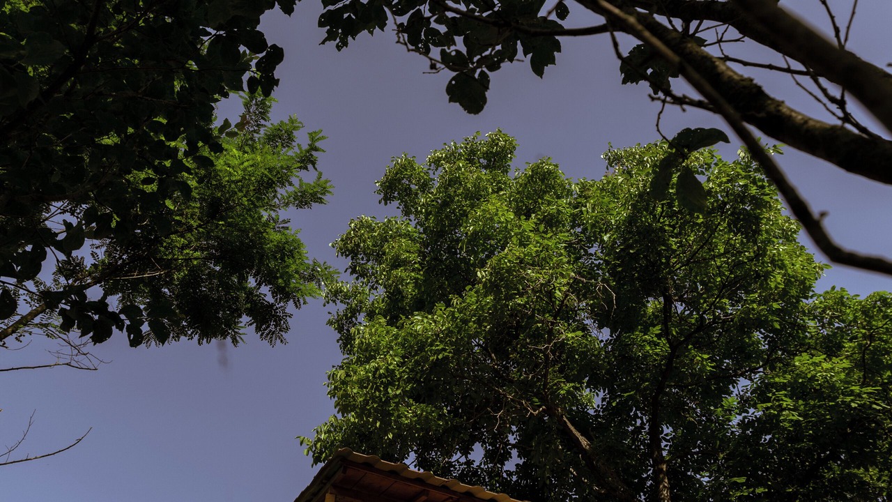 Photo of Outdoor in Pesteana