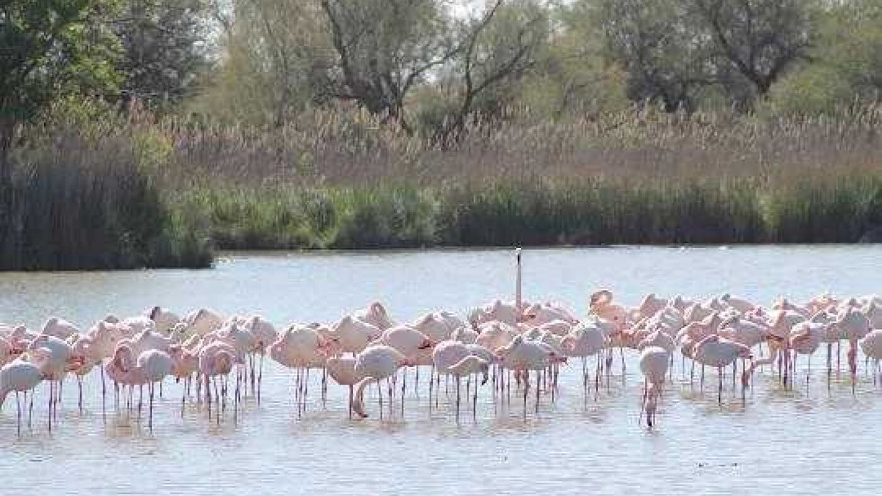 Photo of Others in Calvisson