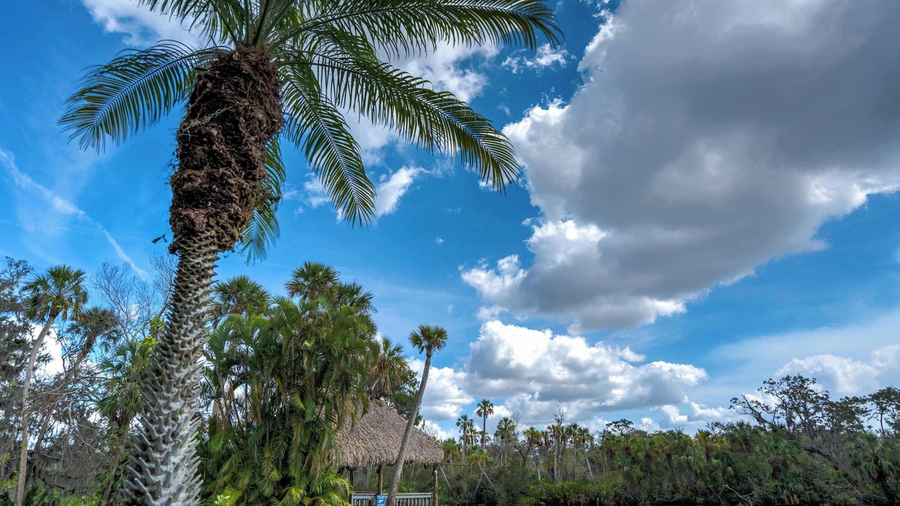Photo of Others in Braden River