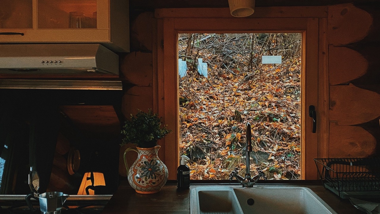 Photo of Kitchen in Pesteana