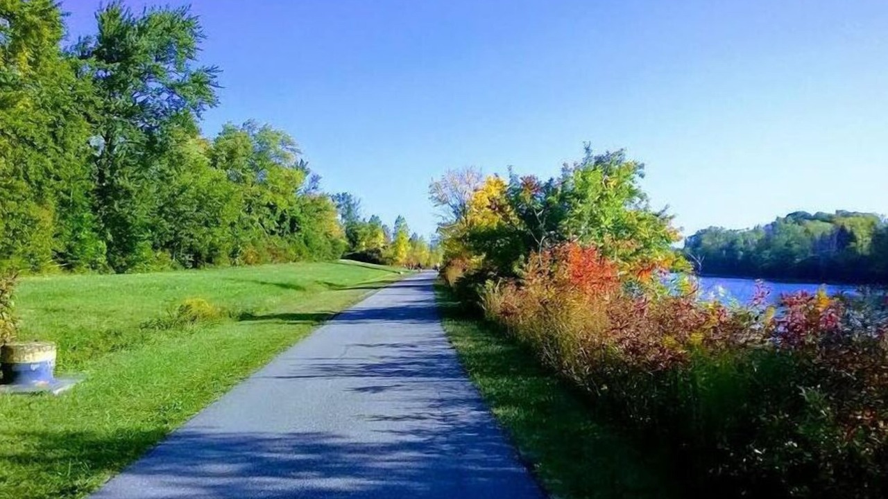 Photo of Others in Welland
