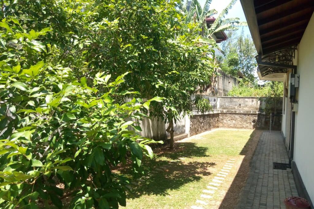 Photo of Outdoor in Kamburugamuwa