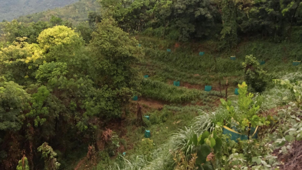 Photo of Others in Kaimane
