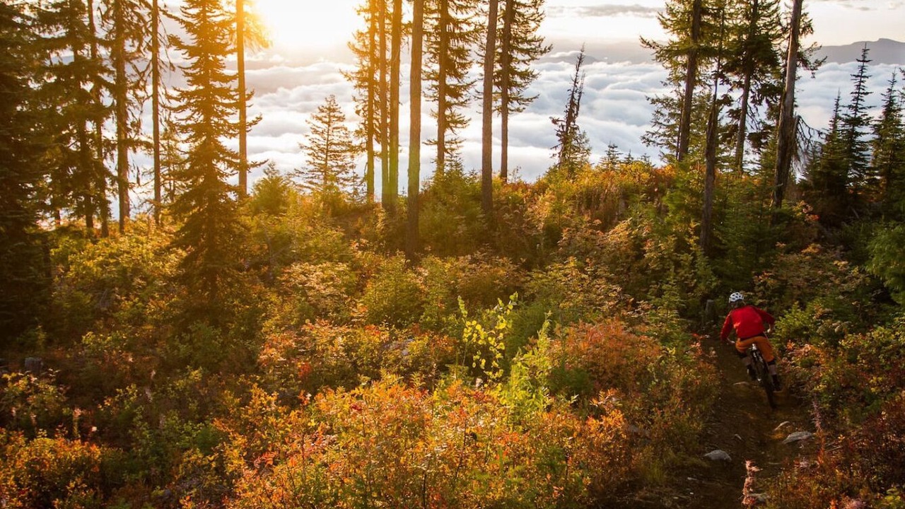 Photo of Outdoor in Rossland