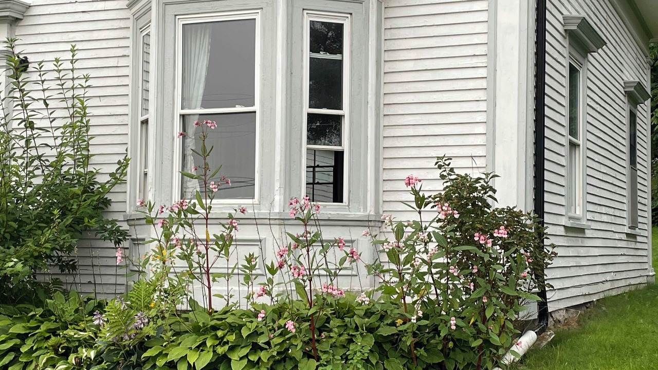 Photo of Outdoor in Margaretsville
