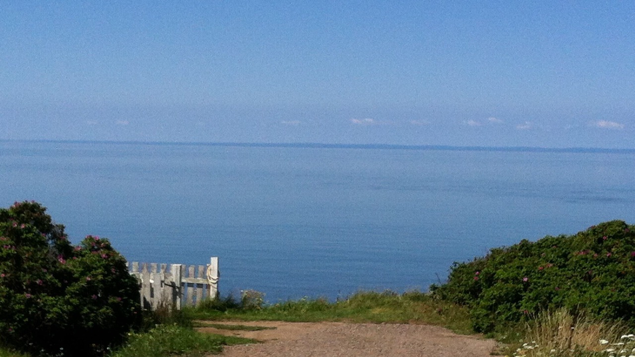 Photo of Others in Margaretsville