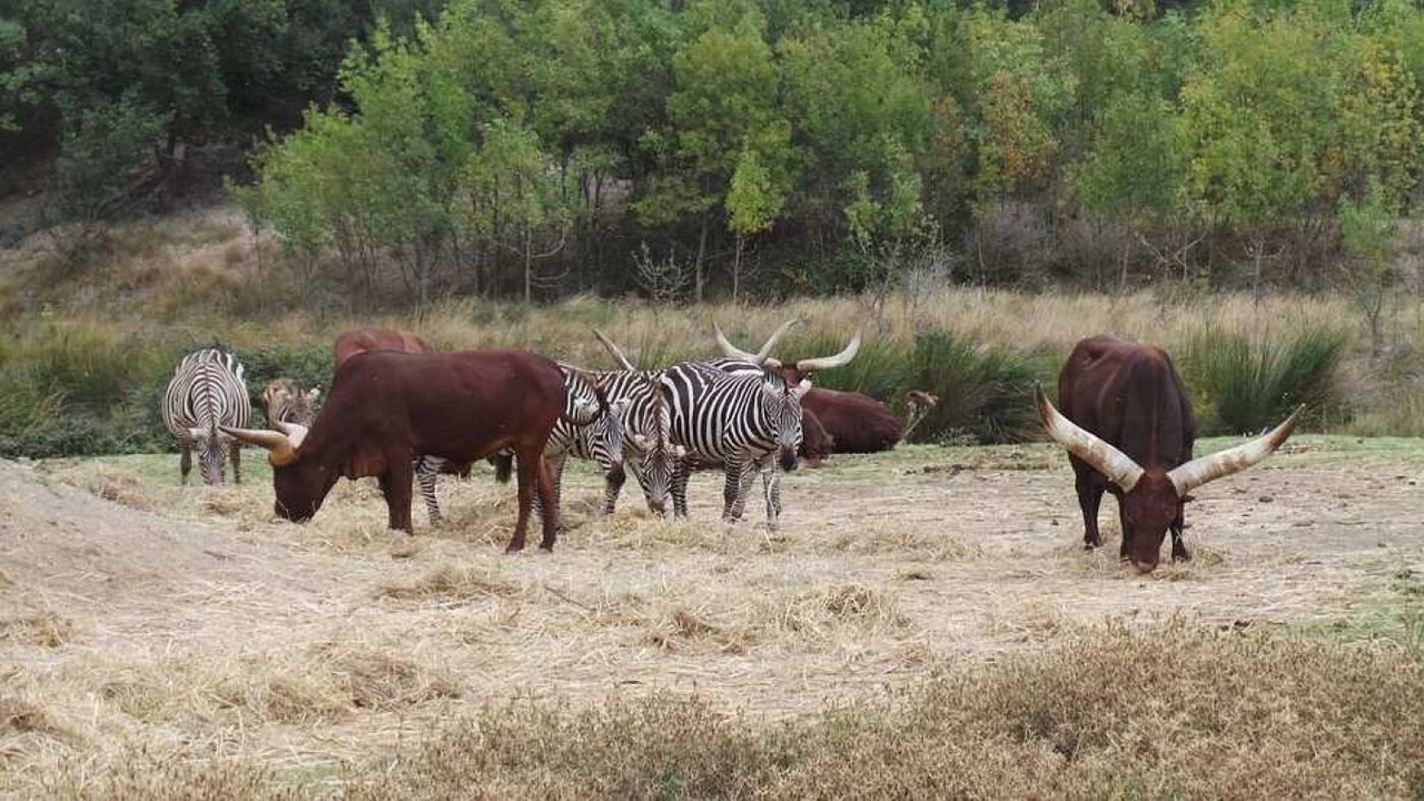 Photo of Others in Portel-des-Corbieres