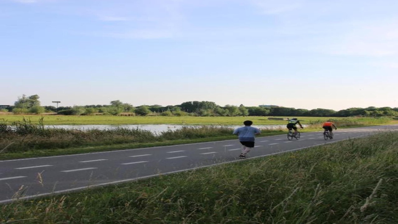 Photo of Others in Delft