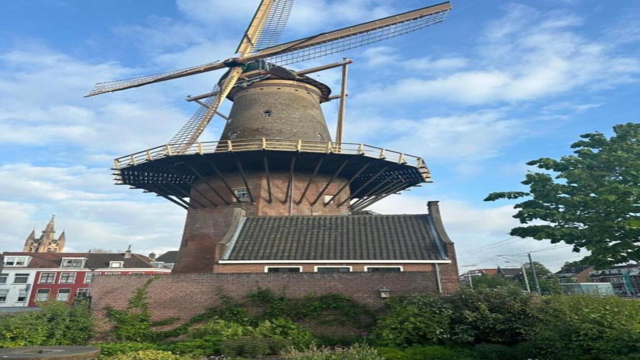 Photo of Others in Delft