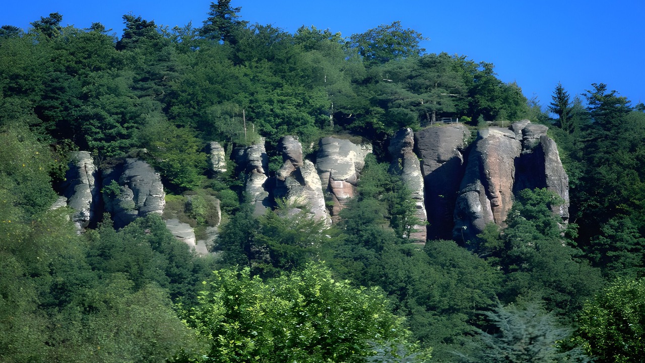 Photo of Others in Bad Herrenalb