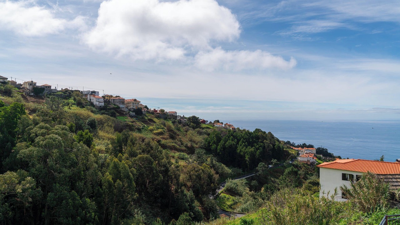 Photo of Others in Arco da Calheta