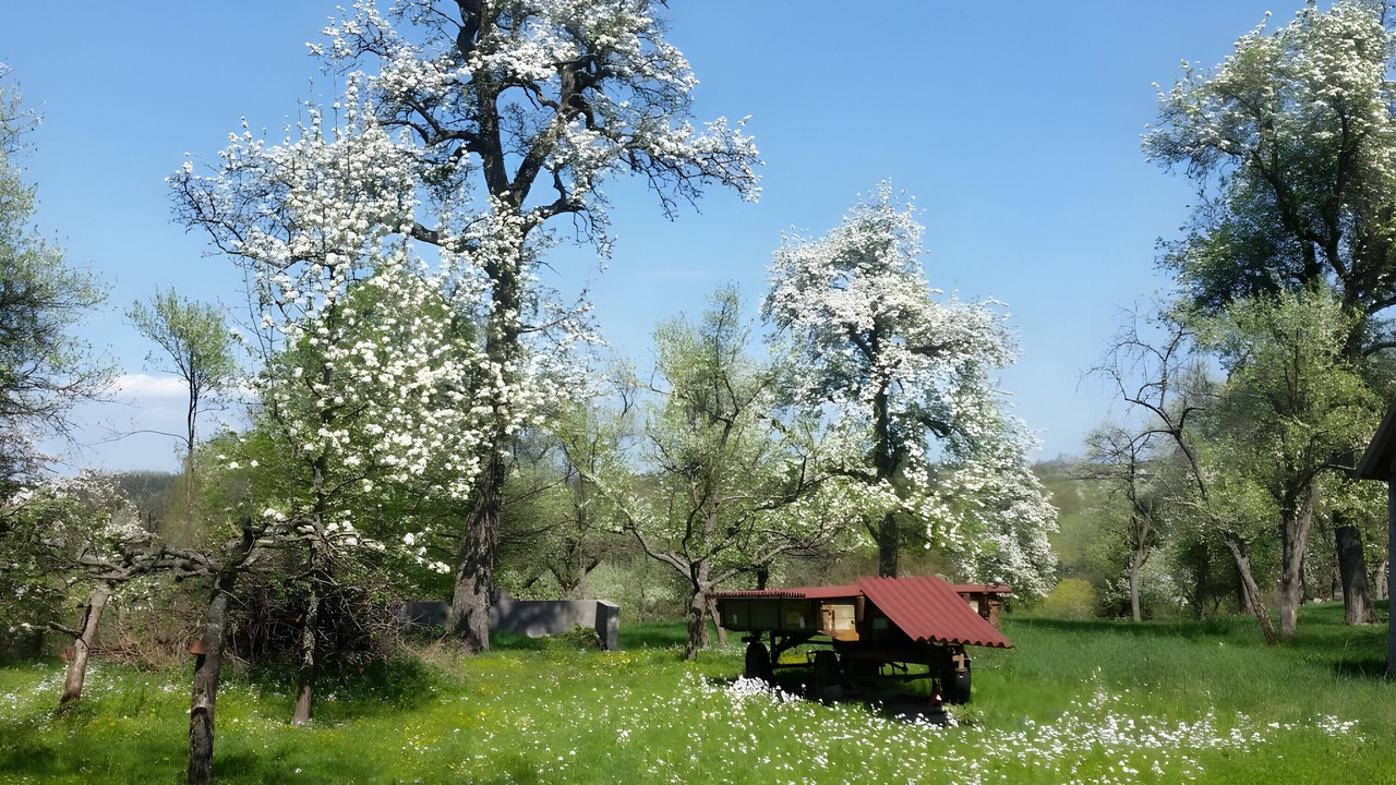 Photo of Others in Balingen