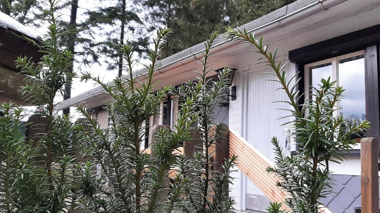 Photo of Outdoor in Frauenwald