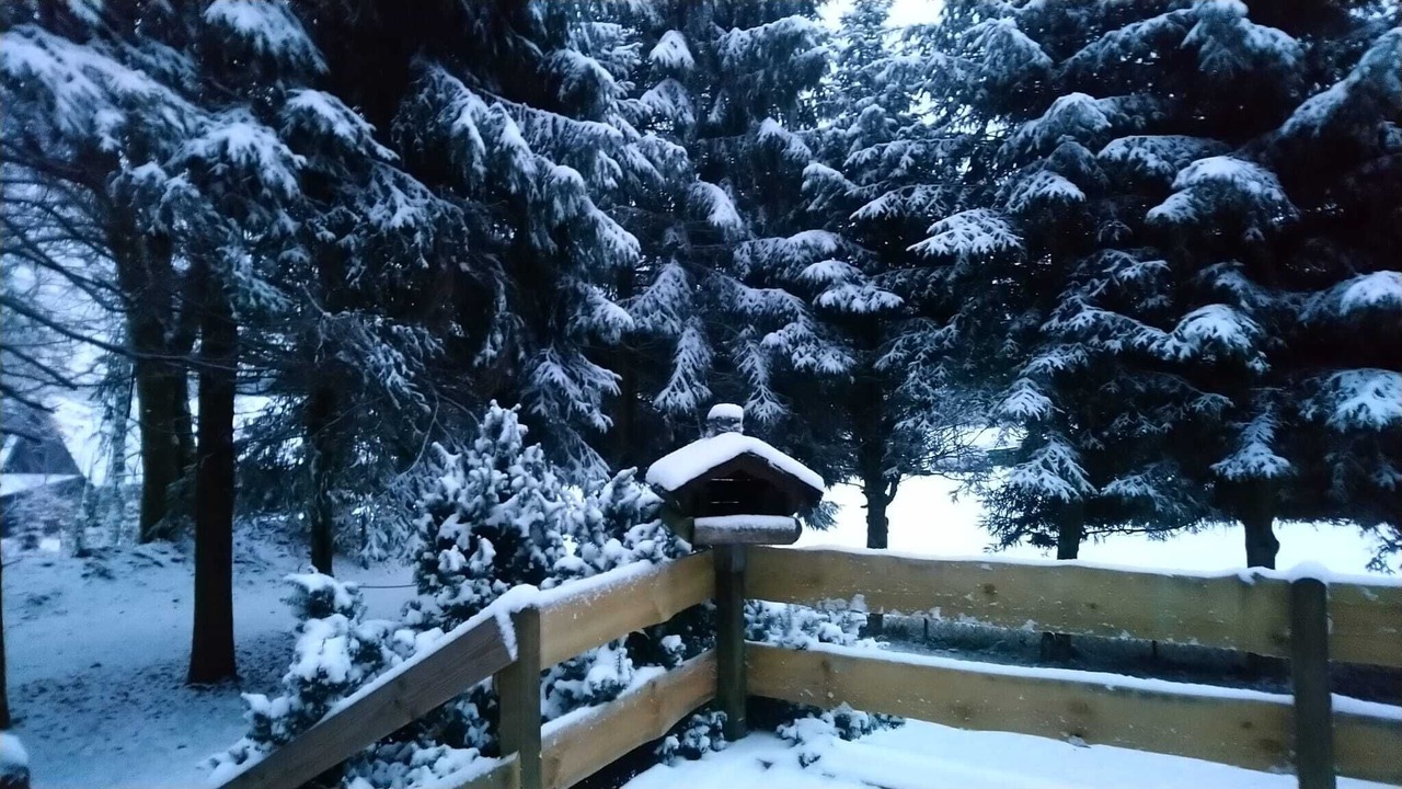 Photo of Outdoor in Frauenwald