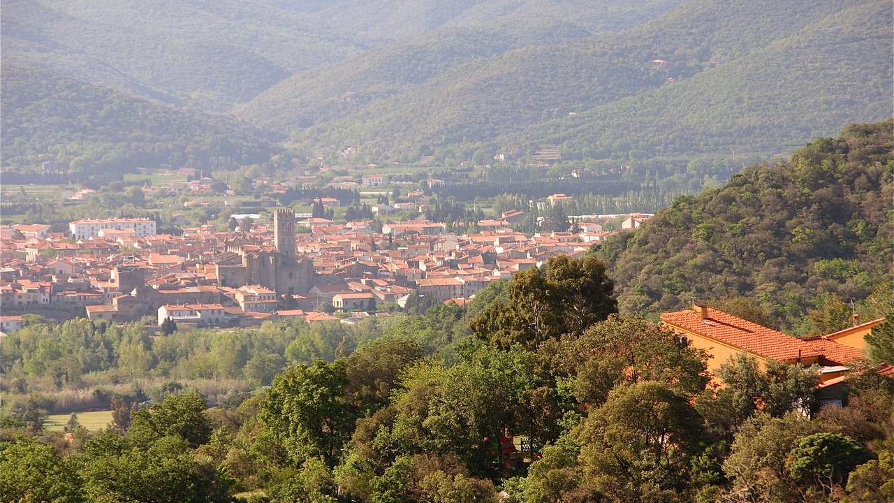 Photo of Others in Ille-sur-Tet