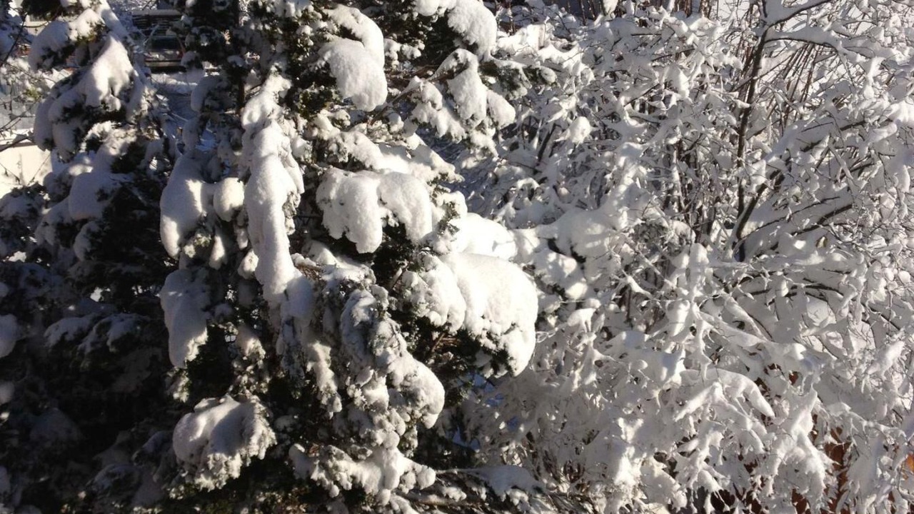 Photo of Outdoor in Erkenbrechtsweiler