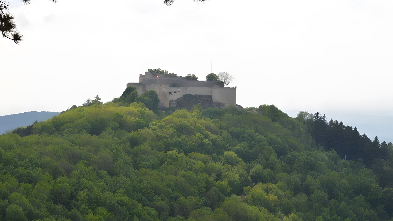 Photo of Others in Erkenbrechtsweiler