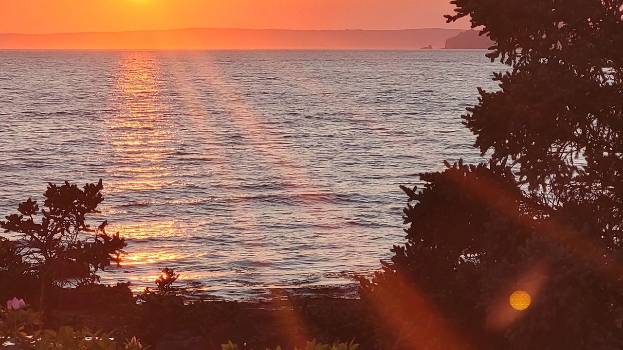 Photo of Others in South Scots Bay