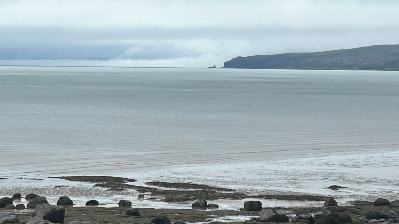 Photo of Others in South Scots Bay