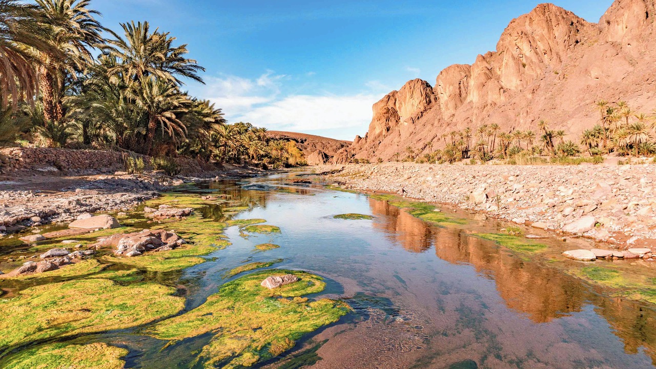 Photo of Others in Ouarzazate