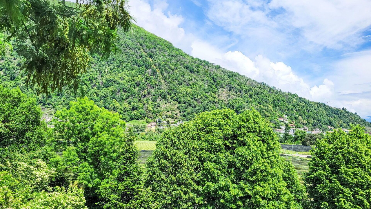 Photo of Others in Losone