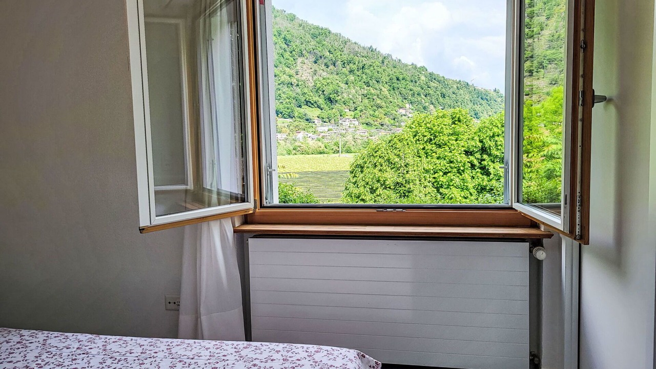 Photo of Others in Losone