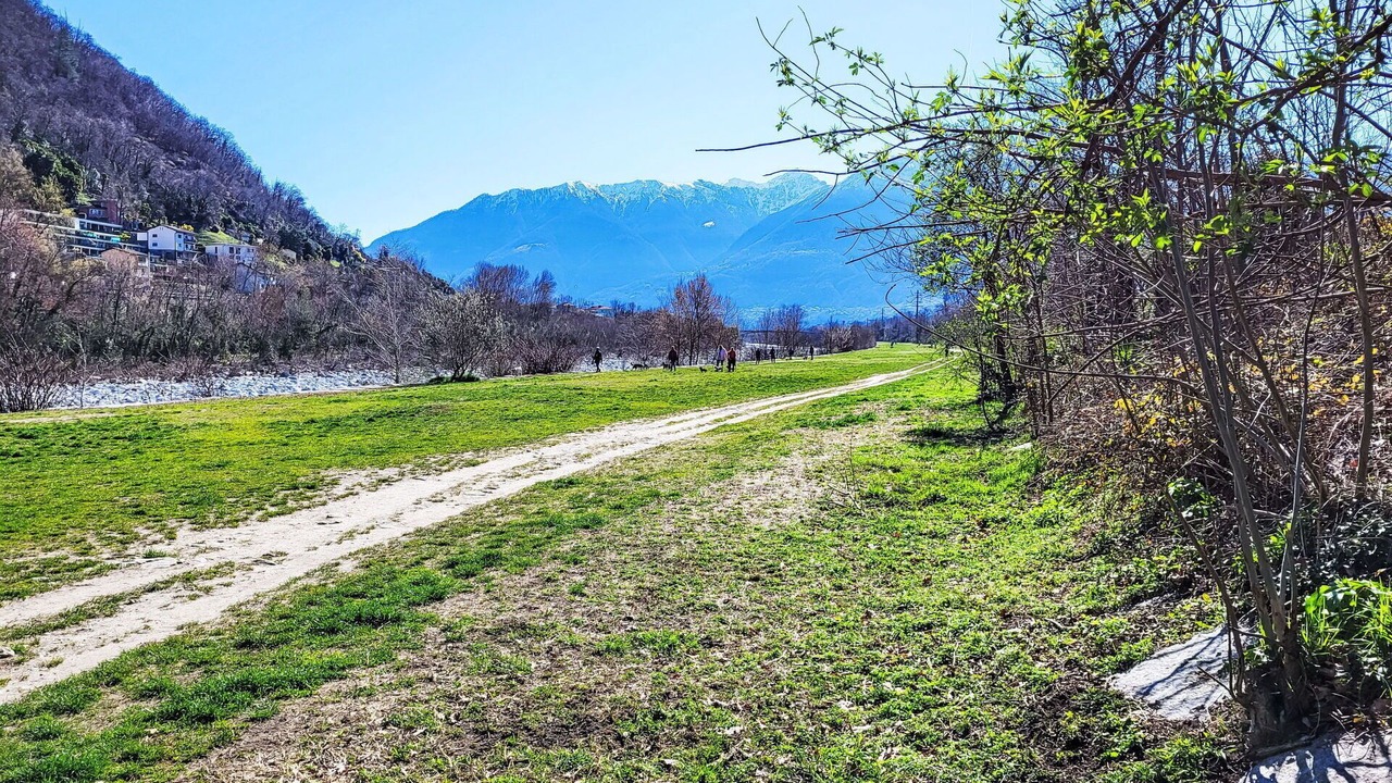 Photo of Others in Losone