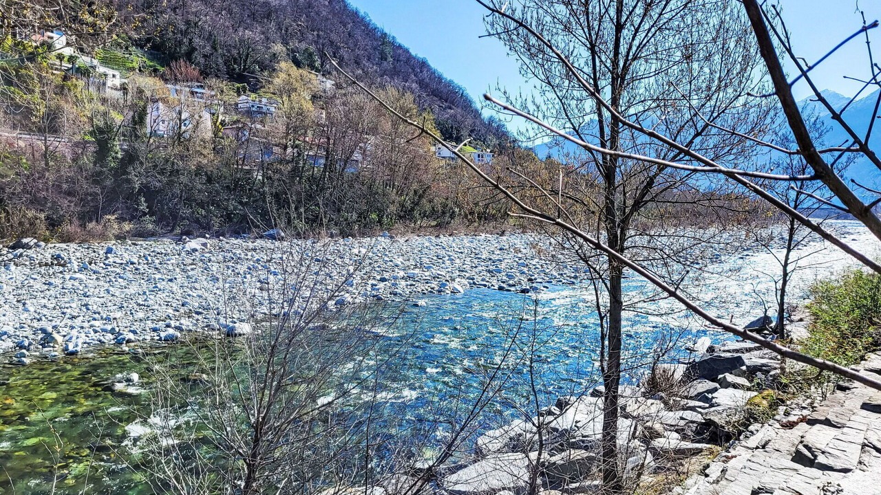 Photo of Others in Losone