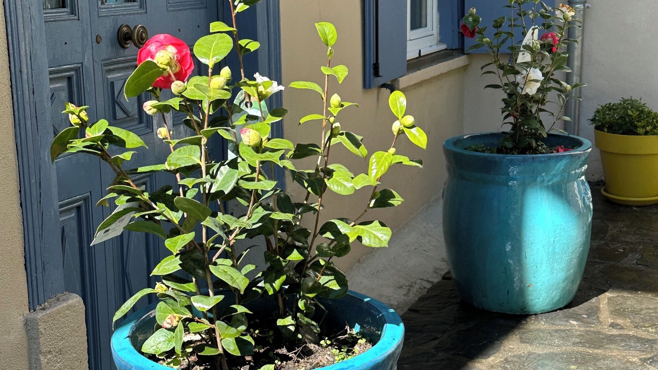 Photo of Outdoor in Caudebronde
