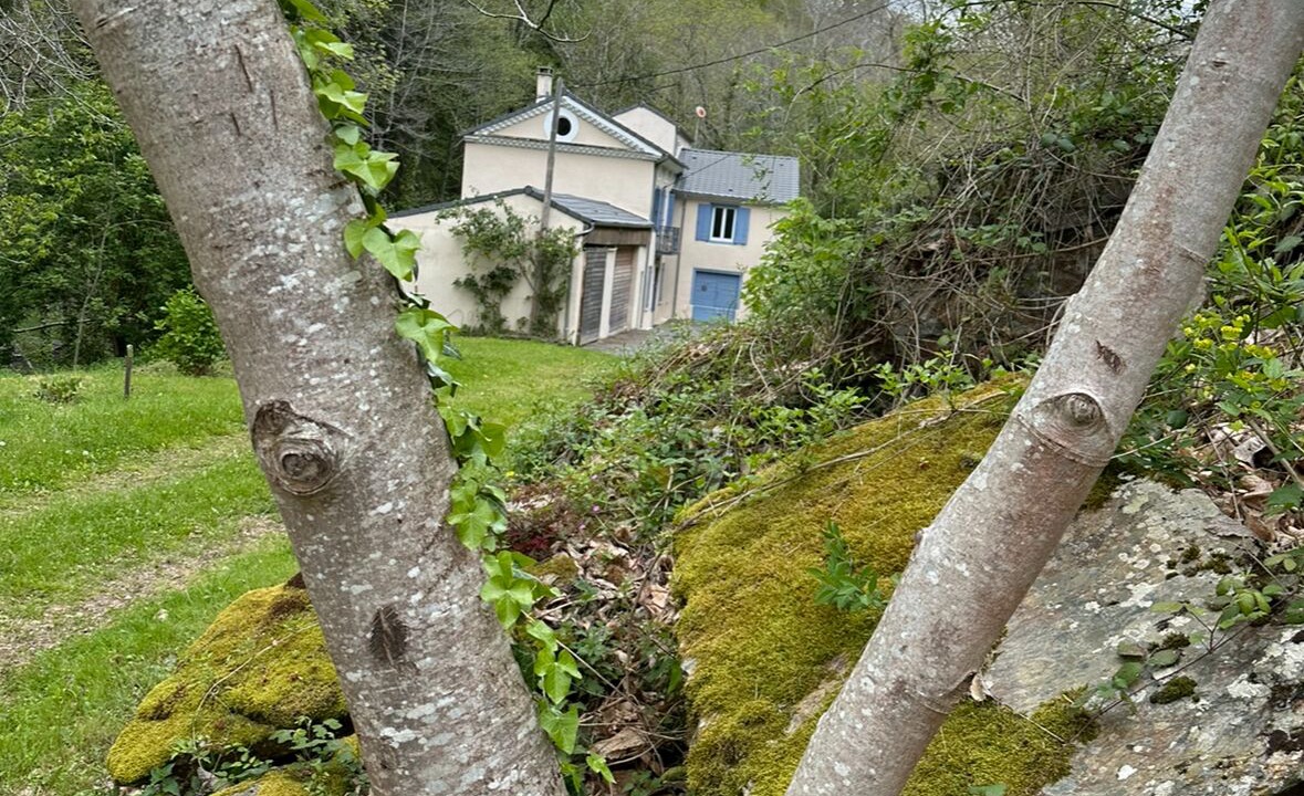 Photo of Outdoor in Caudebronde