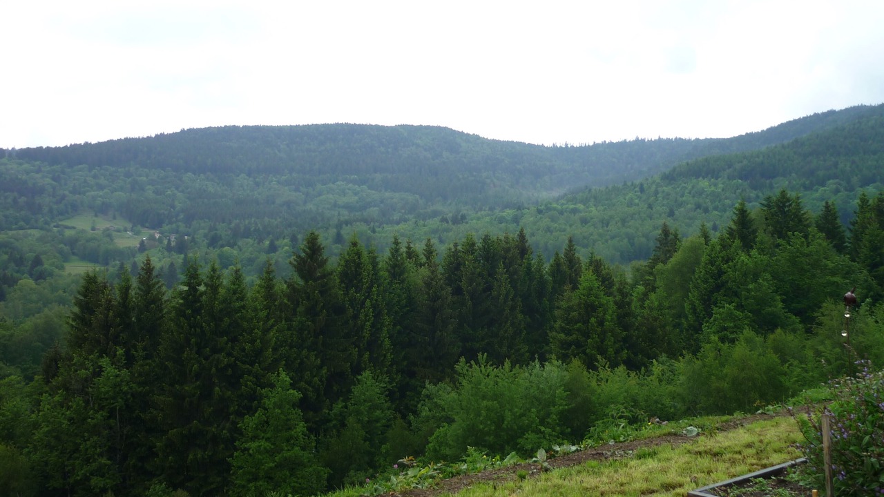 Photo of Others in Ramonchamp