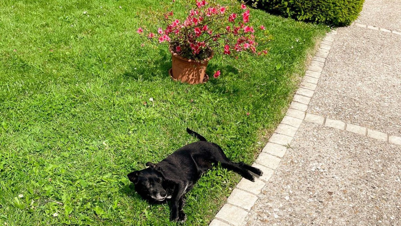 Photo of Outdoor in Chailles