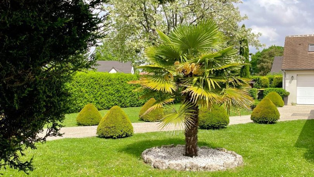Photo of Outdoor in Chailles