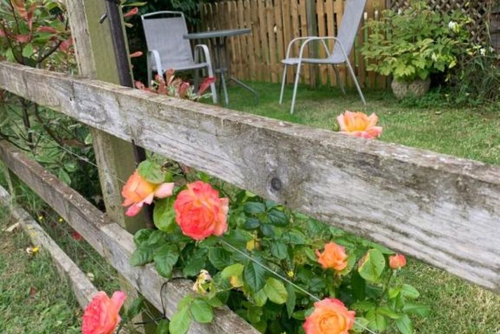 Photo of Outdoor in Yardley Gobion