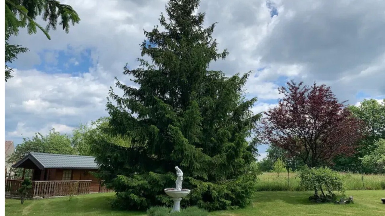 Photo of Outdoor in Montbronn