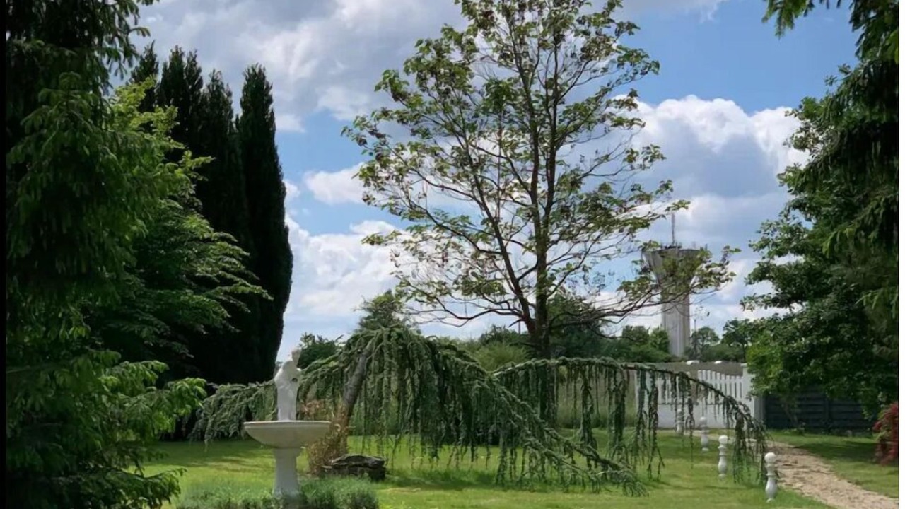Photo of Outdoor in Montbronn