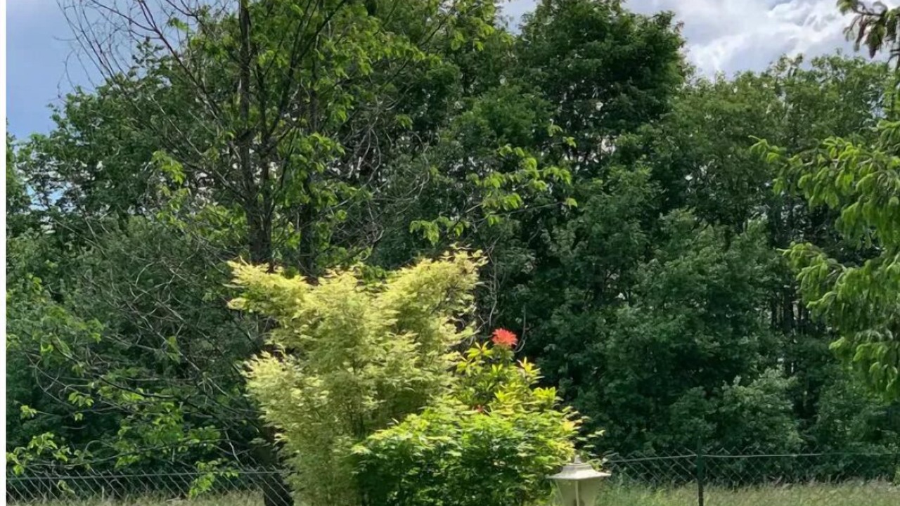 Photo of Outdoor in Montbronn