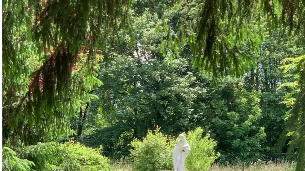 Photo of Outdoor in Montbronn