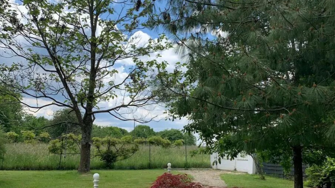 Photo of Outdoor in Montbronn