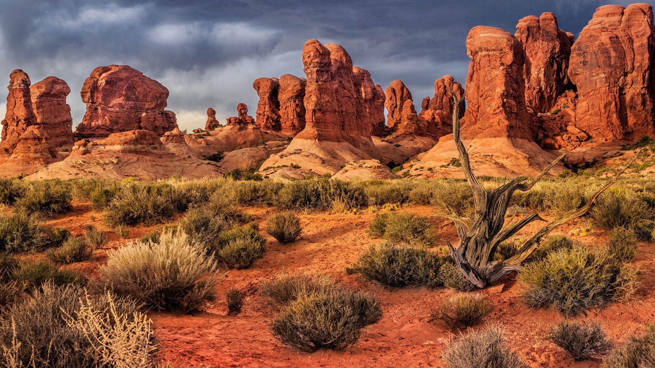 Photo of Others in Moab