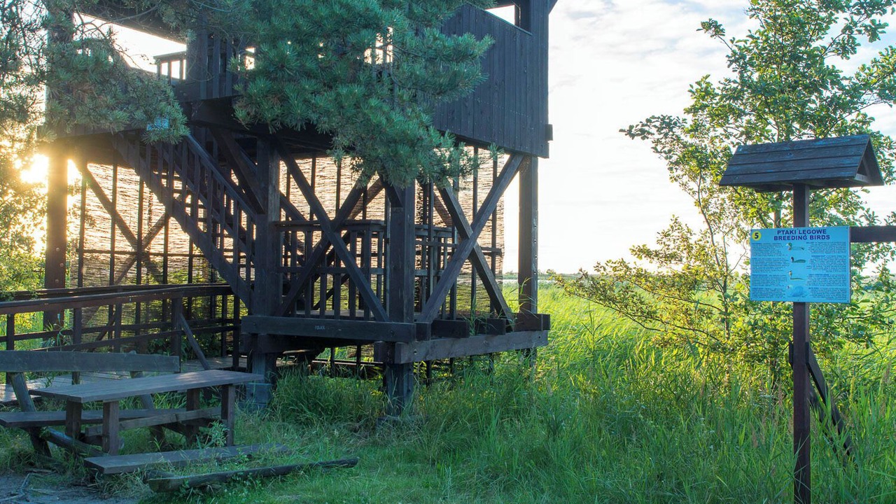 Photo of Outdoor in Orlinki