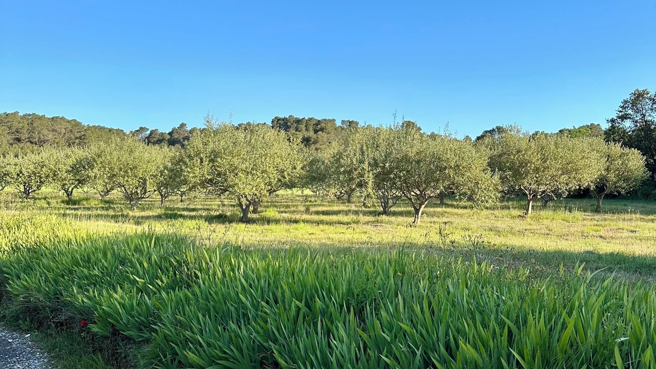 Photo of Others in Laure-Minervois
