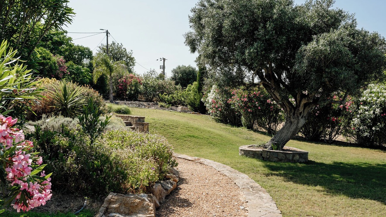 Photo of Others in Charneca