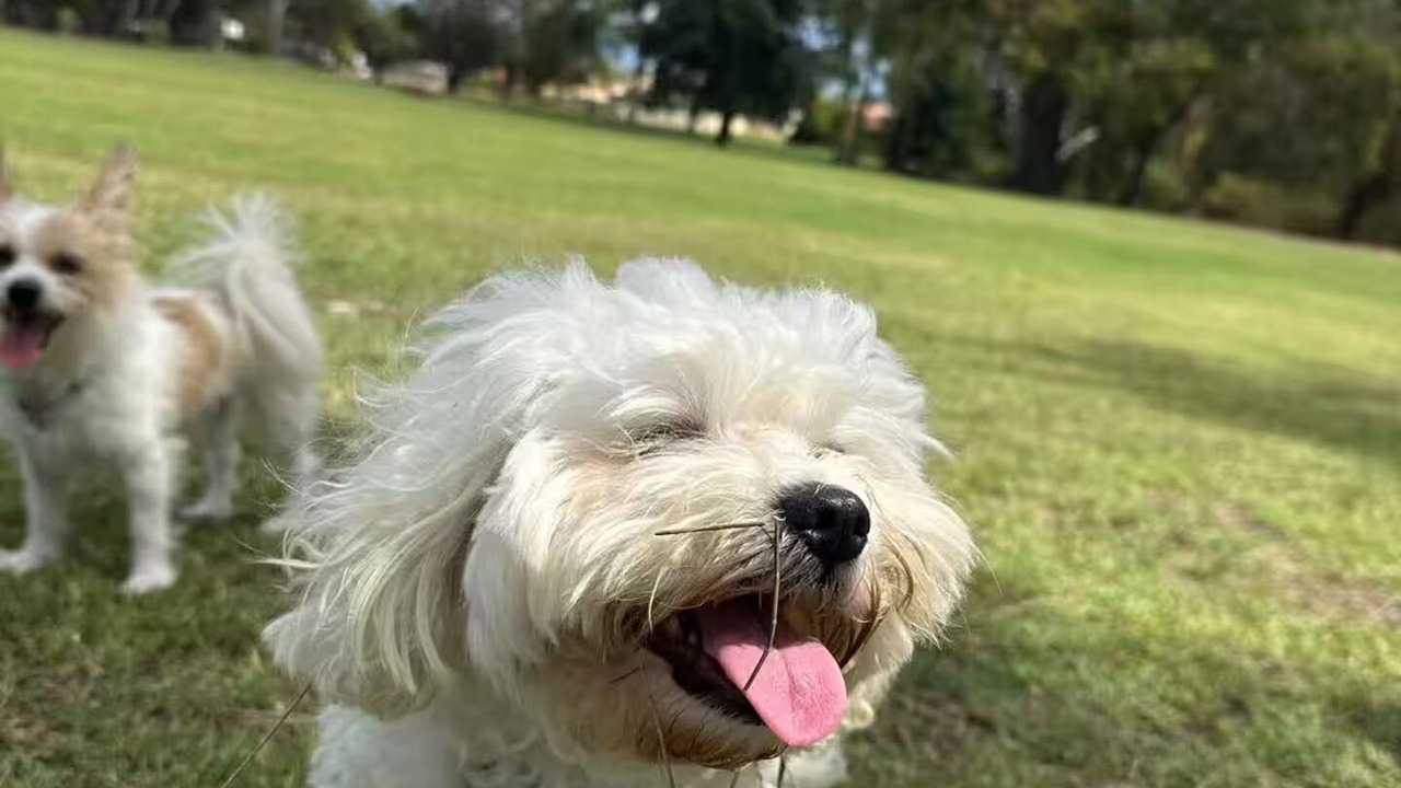 Photo of Others in Bentley