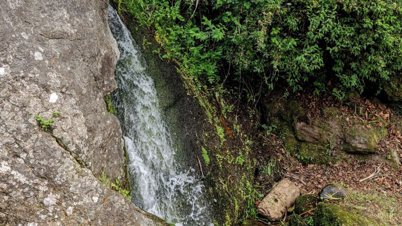 Photo of Others in Beijos