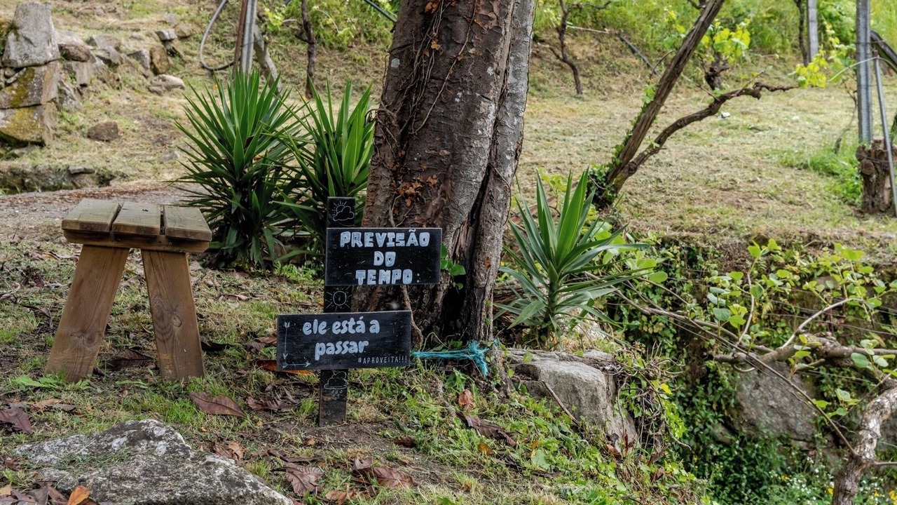 Photo of Outdoor in Beijos
