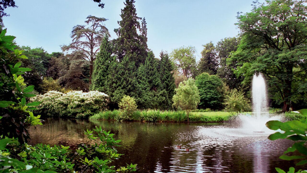 Photo of Outdoor in Eerbeek