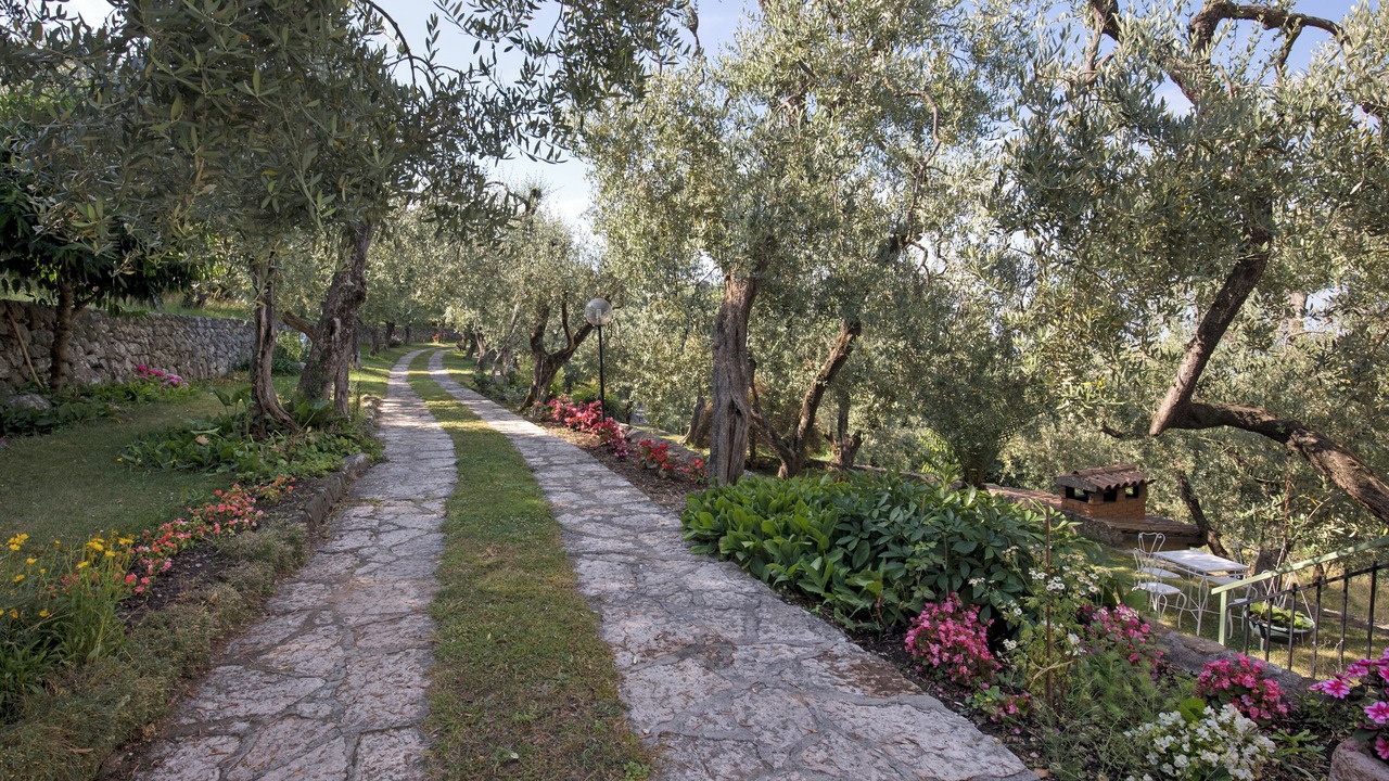 Photo of Outdoor in Albisano