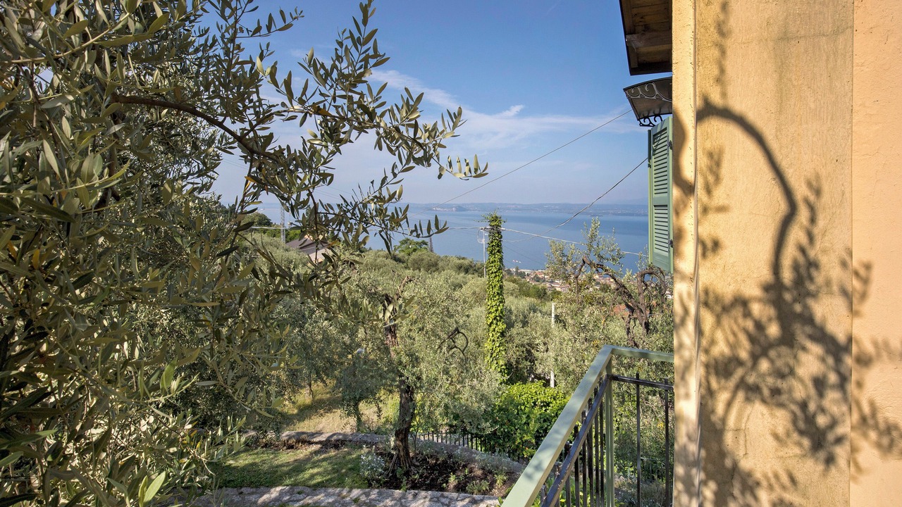Photo of Outdoor in Albisano