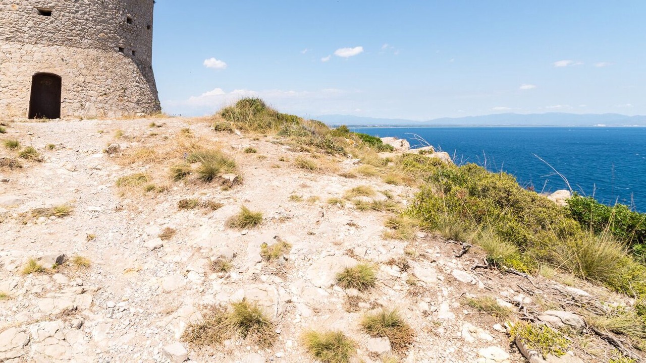 Photo of Others in L'Escala